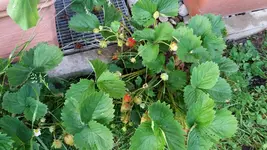 02_20170603_201620_resized.webp