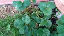 03_20170603_201612_resized.webp