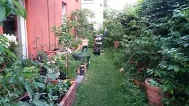 04_20170603_201351_resized.webp