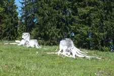 DSCF8993.webp