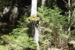 DSCF8994.JPG