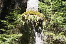 DSCF8995.webp