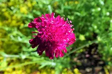 DSCF9042 (2).webp