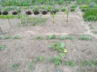 IMG_20170531_173701.webp