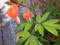 20170528_112900.webp