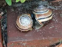 20170604_111709.webp
