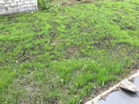 IMG_2346.jpg
