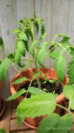 IMG_20170604_122551.webp