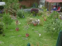 P1000994.webp