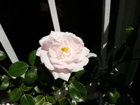 PHOTO_20170604_143331.webp