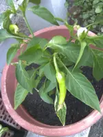 BILD6829.webp