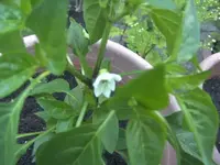 BILD6830.webp