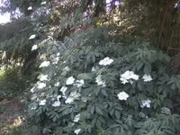 BILD6810.webp