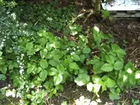BILD6845.webp