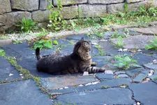 100_4108.webp