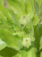 P6030408.webp P6030408.webp