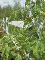 P6030409.webp P6030409.webp