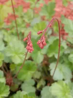 P6030410.webp P6030410.webp