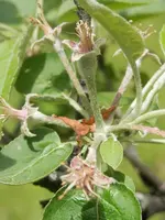 P6030411.webp P6030411.webp