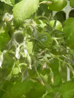 P6030412.webp P6030412.webp