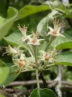 P6030414.webp P6030414.webp