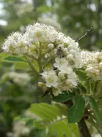 P6030417.webp P6030417.webp