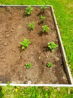 P6030419.webp P6030419.webp