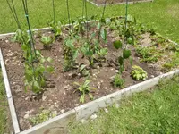 P6030420.webp P6030420.webp