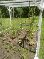 P6030421.webp P6030421.webp