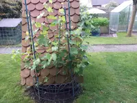 20170604_210424.webp
