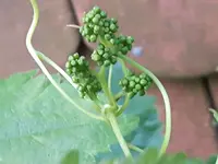 20170604_210353.webp
