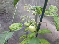 20170604_210548.webp