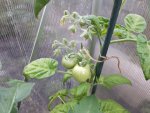 20170604_210548.jpg