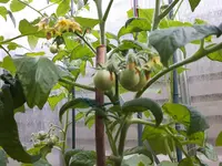 20170604_210602.webp