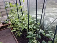 20170604_210642.webp