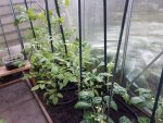 20170604_210642.jpg