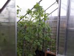 20170604_210512.jpg