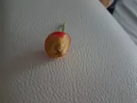 20170604_210659.jpg