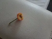 20170604_210648.jpg