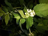20170520_204623.jpg