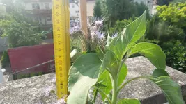 20170603_085634.webp