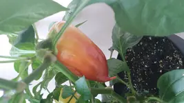 20170604_171112.jpg