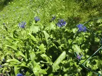 BILD6520.JPG