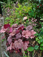 P1130930.webp