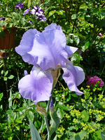 P1130910.webp