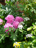 P1130919.webp