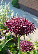 P1130940.webp P1130940.webp