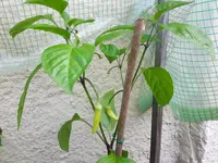 20170605_112532.jpg