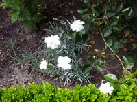 20170605_111537.webp