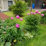 20170605_131053.jpg